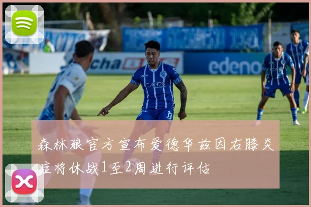森林狼官方宣布爱德华兹因右膝炎症将休战1至2周进行评估