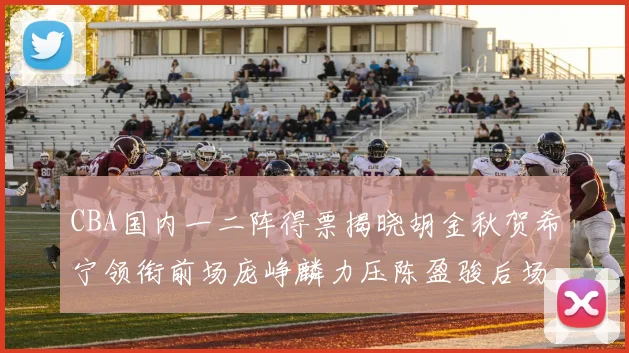 CBA国内一二阵得票揭晓胡金秋贺希宁领衔前场庞峥麟力压陈盈骏后场