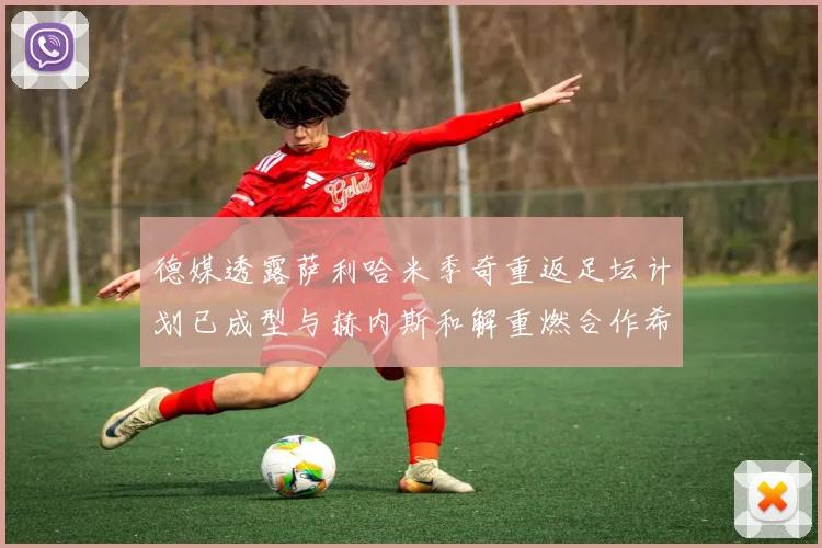 德媒透露萨利哈米季奇重返足坛计划已成型与赫内斯和解重燃合作希望